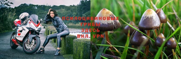 МДПВ Алексин